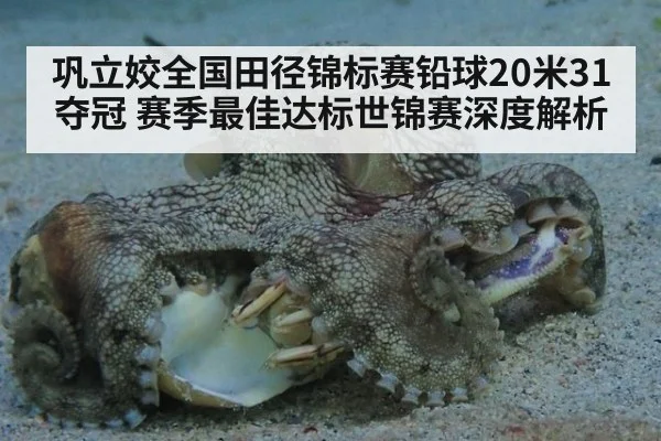 巩立姣全国田径锦标赛铅球20米31夺冠 赛季最佳达标世锦赛深度解析