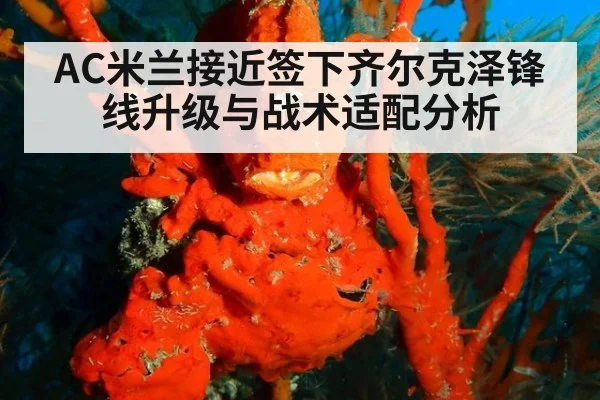 AC米兰接近签下齐尔克泽锋线升级与战术适配分析